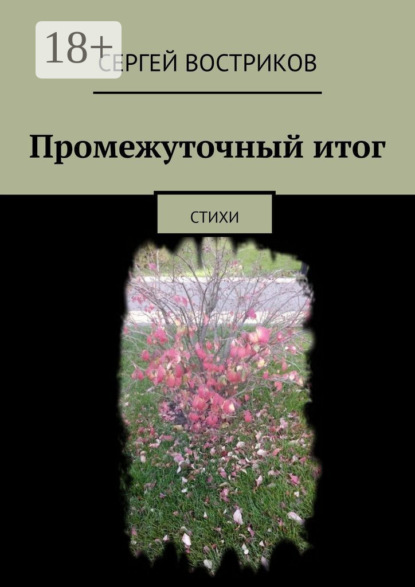 Книга Сергей Востриков Промежуточный итог. Стихи