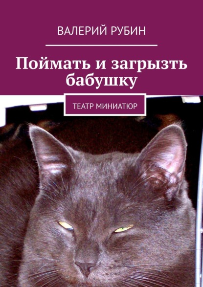Книга Валерий Рубин Поймать и загрызть бабушку. Театр миниатюр