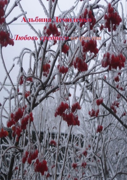 Книга Альбина Демиденко Любовь среднего возраста