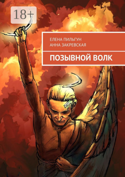 Книга Елена Пильгун, Анна Закревская Позывной Волк