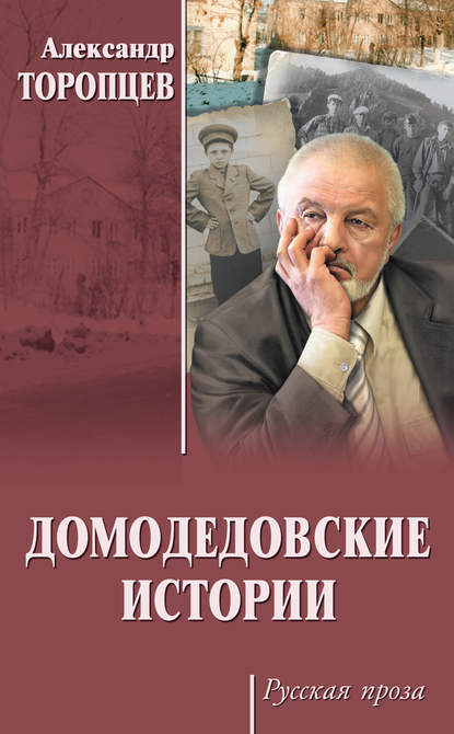 Книга Александр Петрович Торопцев, Александр Торопцев Домодедовские истории (сборник)