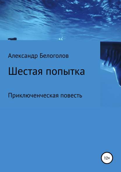 Книга Александр Борисович Белоголов Шестая попытка