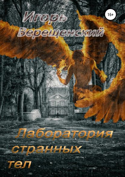 Книга Игорь Анатольевич Верещенский Лаборатория странных тел