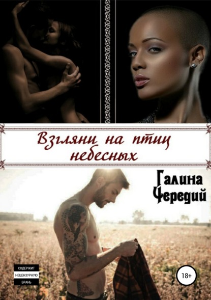 Книга Галина Чередий Взгляни на птиц небесных