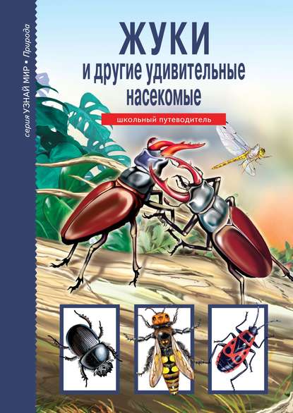 Книга Сергей Афонькин, С. В. Смирнова, Сергей Юрьевич Афонькин Жуки и другие удивительные насекомые