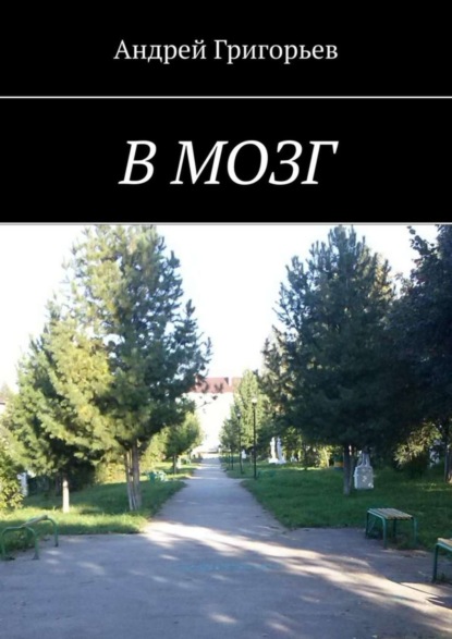 Книга Андрей Григорьев В мозг