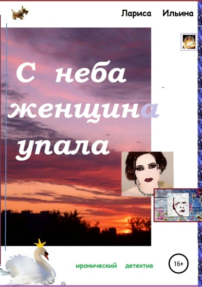 Книга Лариса Анатольевна Ильина С неба женщина упала