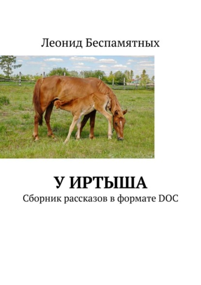 Книга Леонид Беспамятных У Иртыша. Сборник рассказов в формате DOC