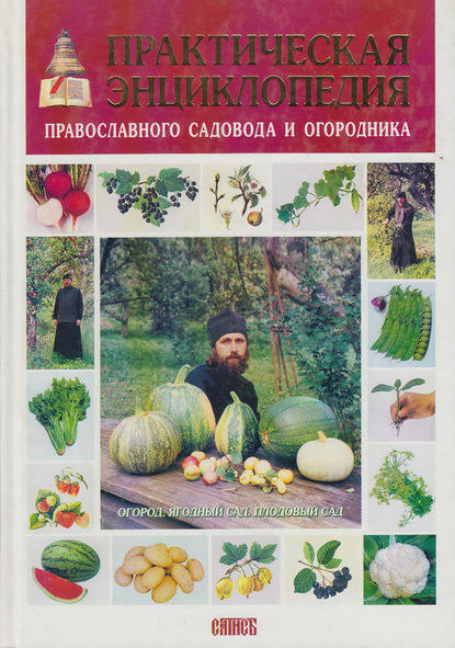 Книга Екатерина Володина, Татьяна Борисовна Фурса, Екатерина Васильевна Володина, Валентина Ильинична Майорова Практическая энциклопедия православного садовода и огородника