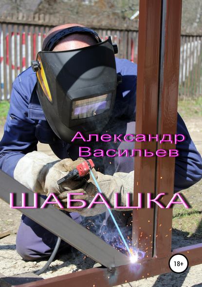 Книга Александр Васильевич Васильев Шабашка