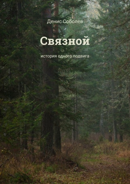 Книга Денис Валерьевич Соболев Связной. История одного подвига