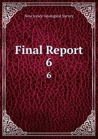 Final Report