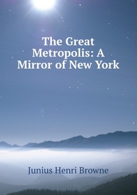 The Great Metropolis: A Mirror of New York