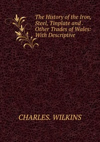 The History of the Iron, Steel, Tinplate and . Other Trades of Wales: With Descriptive