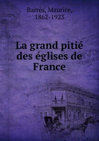 La grand pitie des eglises de France