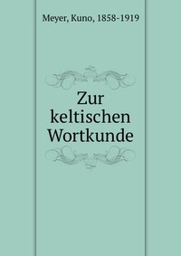 Zur keltischen Wortkunde