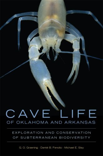 Cave Life of Oklahoma and Arkansas: Exploration and Conservation of Subterranean Biodiversity (Animal Natural History Series)