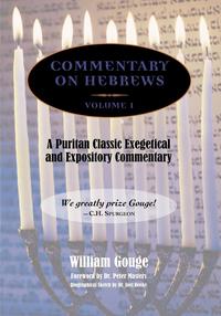 COMMENTARY ON HEBREWS