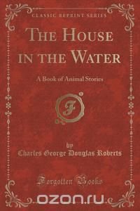 The House in the Water