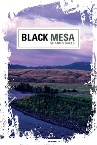 Black Mesa