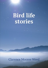 Bird life stories