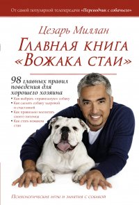 Главная книга 