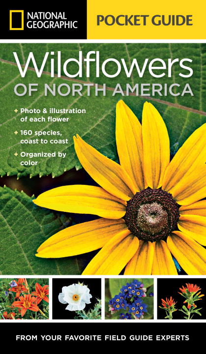 Wildflowers of North America: Pocket Guide