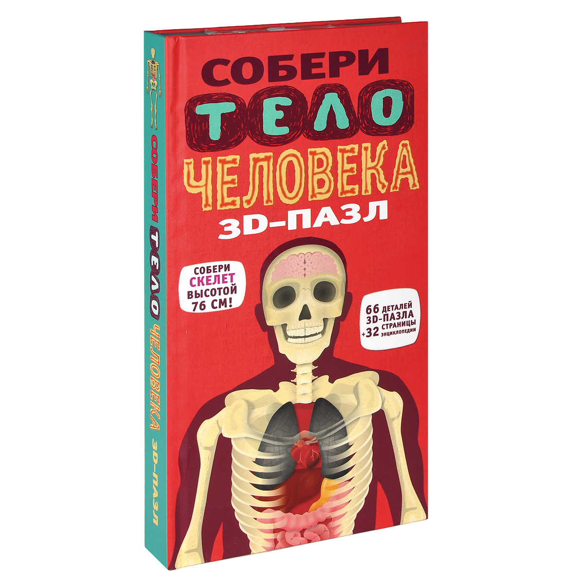 Собери тело человека. 3D-пазл