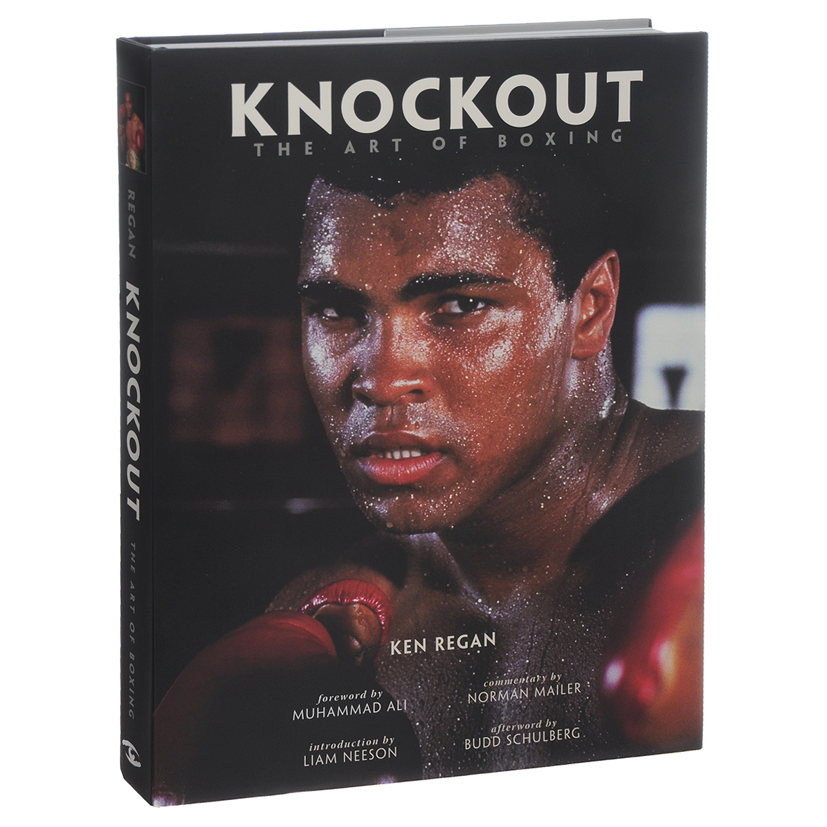 Knockout: The Art of Boxing