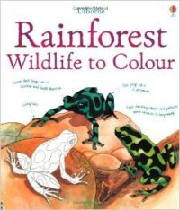 Rainforest Wildlife to Colour