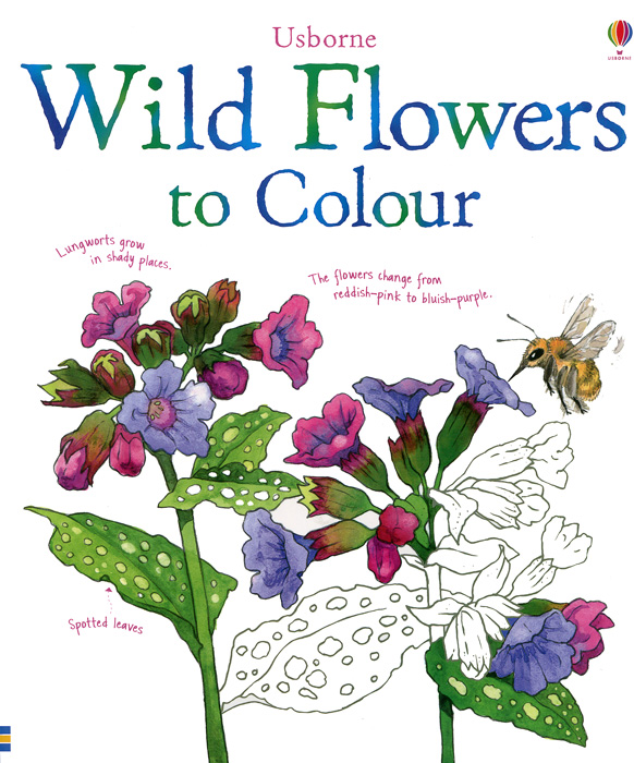 Wild Flowers to Colour