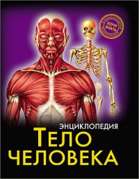 Энциклопедия. Тело человека