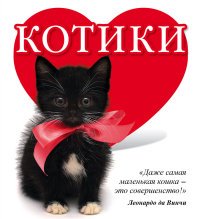 Котики