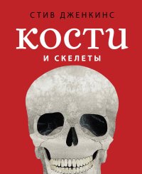 Кости и скелеты