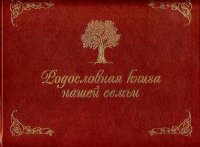 Родословная книга нашей семьи