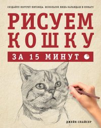 Рисуем кошку за 15 минут