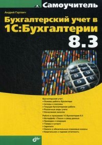 Бухгалтерский учет в 1С: Бухгалтерии 8.3. Самоучитель