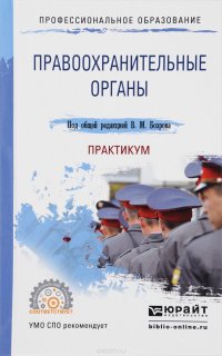 Правоохранительные органы. Практикум. Учебное пособие