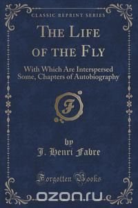 The Life of the Fly