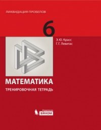 Математика. 6 класс. Тренировочная тетрадь