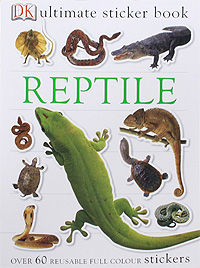 Reptile