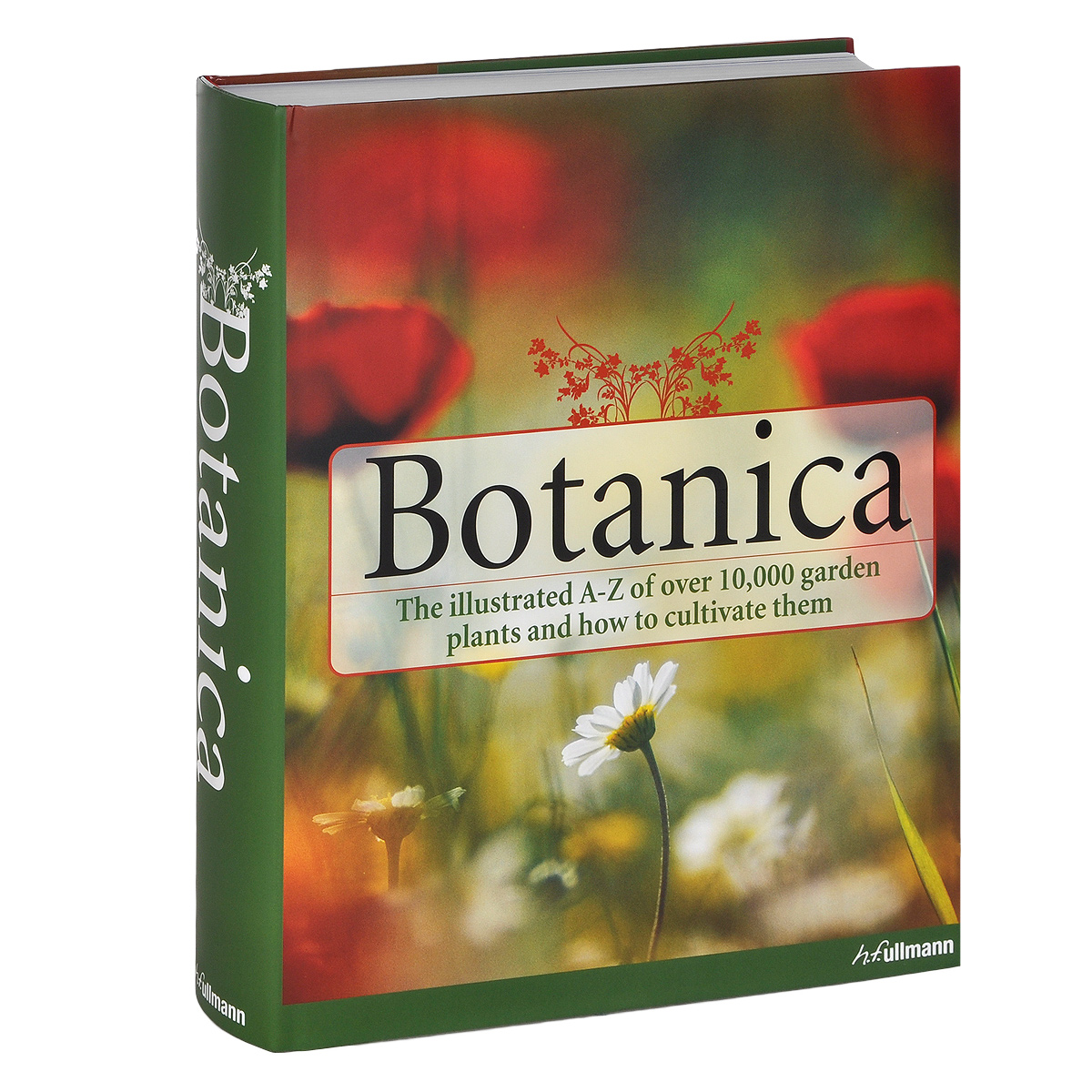 Botanica