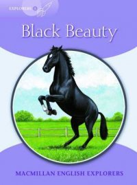 Black Beauty: Level 5