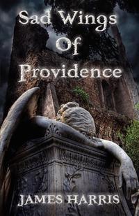 Sad Wings of Providence