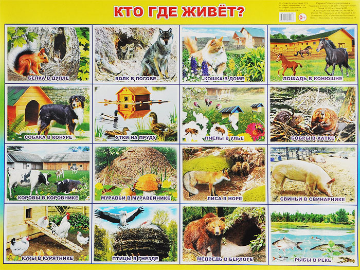 Кто где живет? Плакат