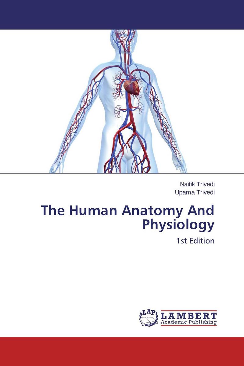 The Human Anatomy And Physiology