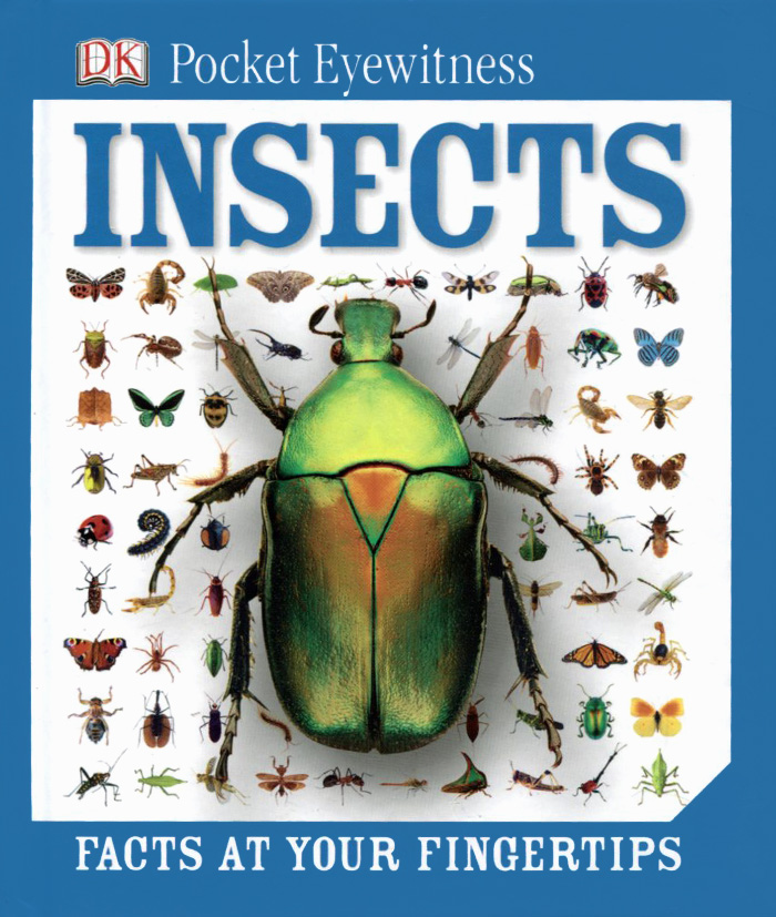 Insects: Facts at Your Fingertips