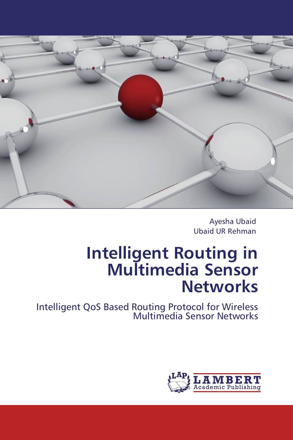 Intelligent Routing in Multimedia Sensor Networks