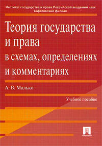 Теория государства и права в схемах, определениях и комментариях