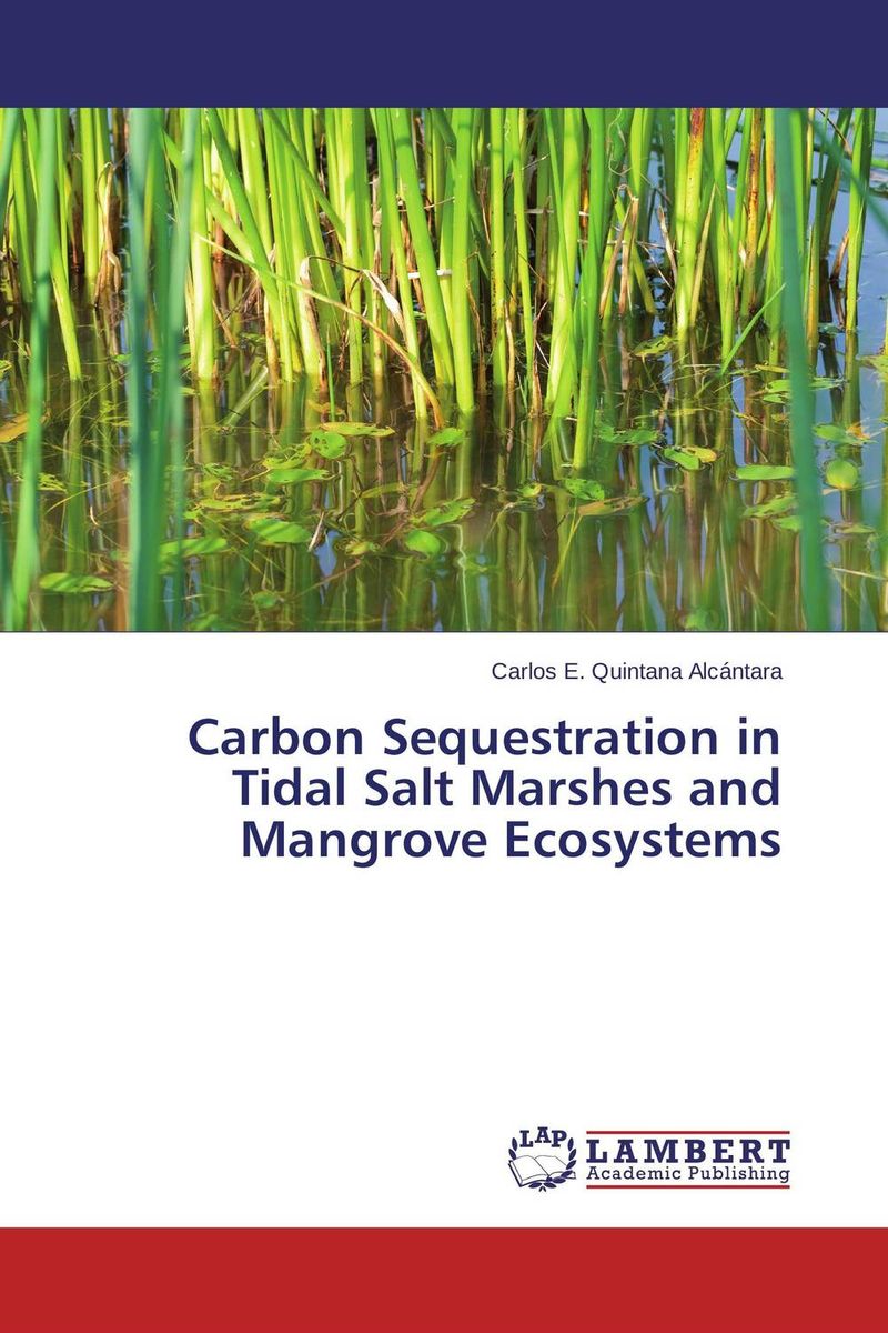 Carlos E. Quintana Alcantara - «Carbon Sequestration in Tidal Salt Marshes and Mangrove Ecosystems»